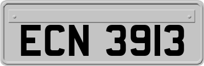 ECN3913