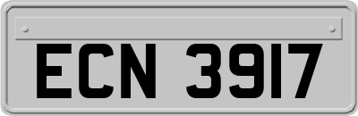 ECN3917