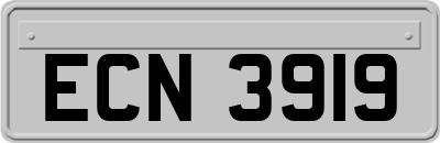 ECN3919