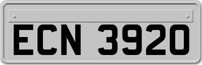 ECN3920