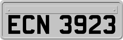 ECN3923