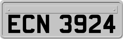 ECN3924