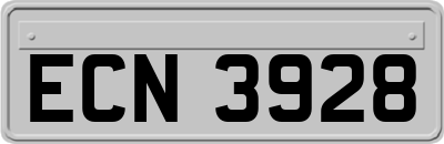 ECN3928
