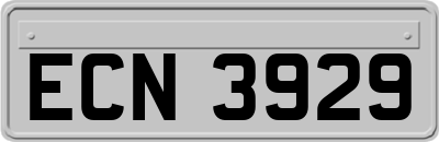 ECN3929