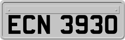 ECN3930