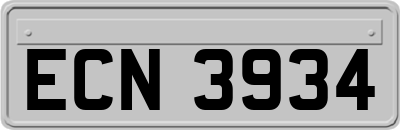ECN3934