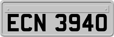 ECN3940