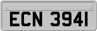 ECN3941