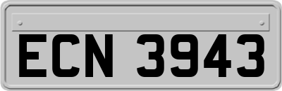 ECN3943