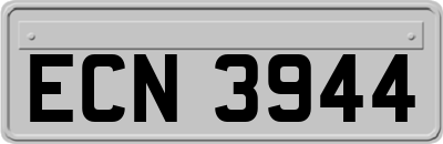 ECN3944