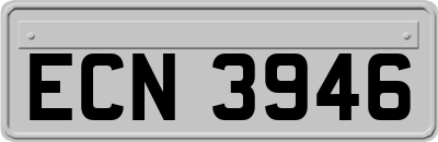 ECN3946