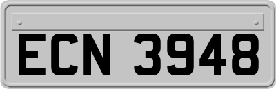 ECN3948