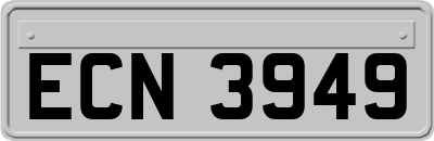 ECN3949
