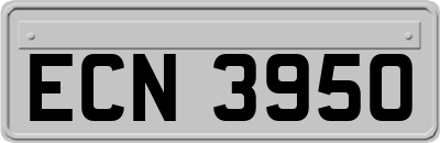 ECN3950