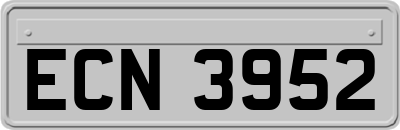 ECN3952