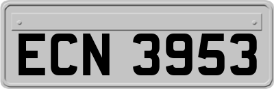 ECN3953
