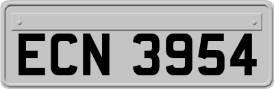 ECN3954