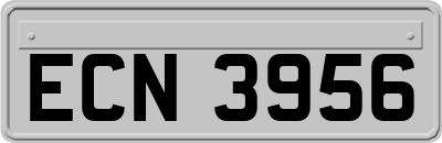 ECN3956