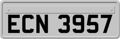 ECN3957