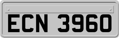ECN3960