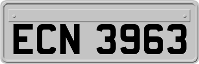 ECN3963