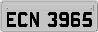 ECN3965