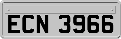 ECN3966