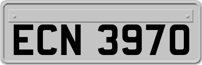 ECN3970