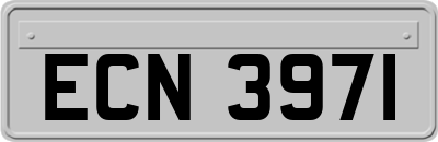 ECN3971