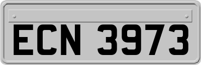 ECN3973