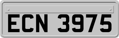 ECN3975