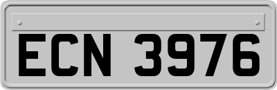 ECN3976