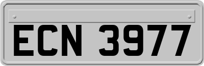 ECN3977