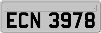 ECN3978