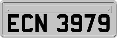ECN3979