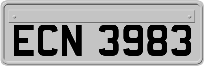 ECN3983