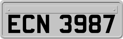 ECN3987