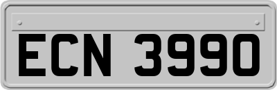 ECN3990