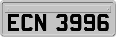 ECN3996