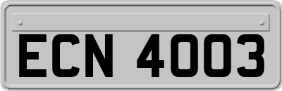 ECN4003