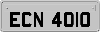 ECN4010