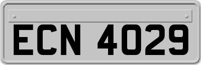 ECN4029
