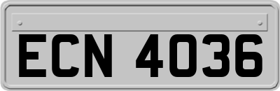 ECN4036