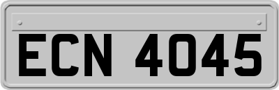 ECN4045