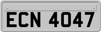 ECN4047