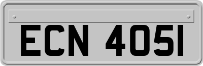 ECN4051