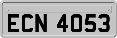 ECN4053