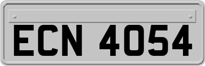 ECN4054