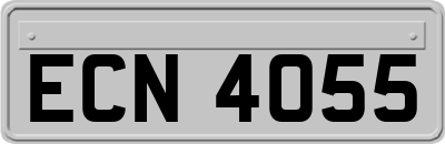 ECN4055