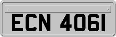 ECN4061